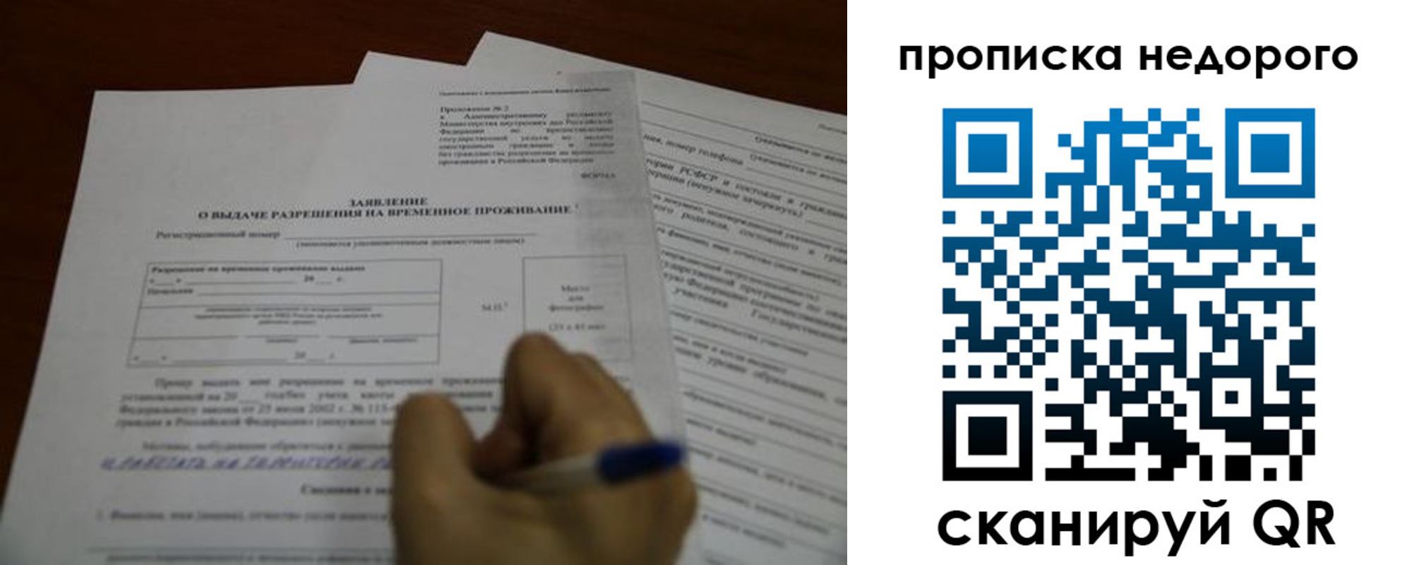 прописка в Коле
