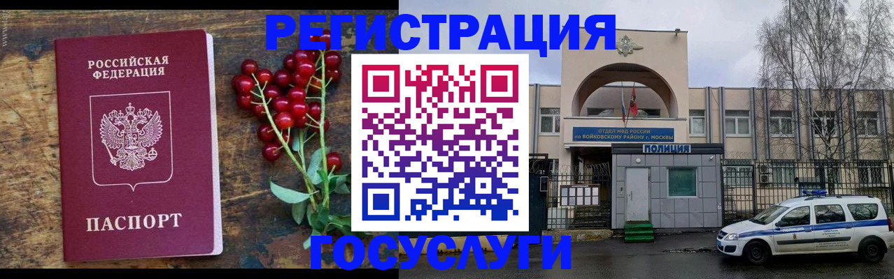 прописка 2025 в Коле